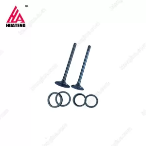 محرك الديزل FL912 FL913 صمام سحب رأس الأسطوانة 04153631 صمام العادم 04153697 02237221 04159139 لـ Deutz